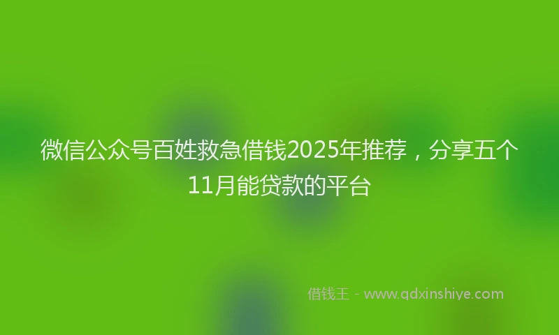 微信公众号百姓救急借钱2025年推荐，分享五个11月能贷款的平台