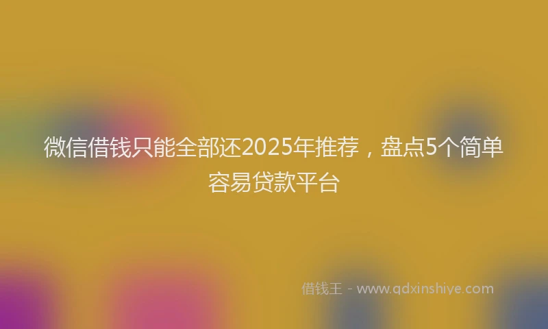 微信借钱只能全部还2025年推荐，盘点5个简单容易贷款平台