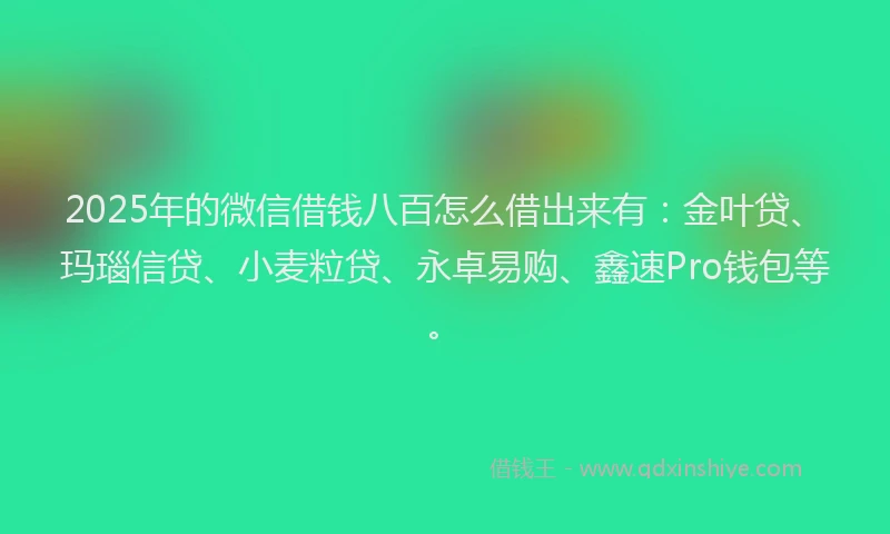 2025年的微信借钱八百怎么借出来有：金叶贷、玛瑙信贷、小麦粒贷、永卓易购、鑫速Pro钱包等。