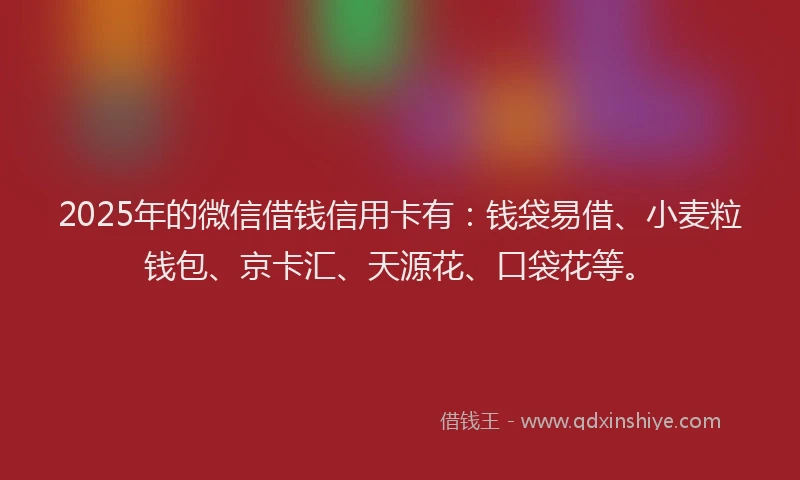 2025年的微信借钱信用卡有：钱袋易借、小麦粒钱包、京卡汇、天源花、口袋花等。