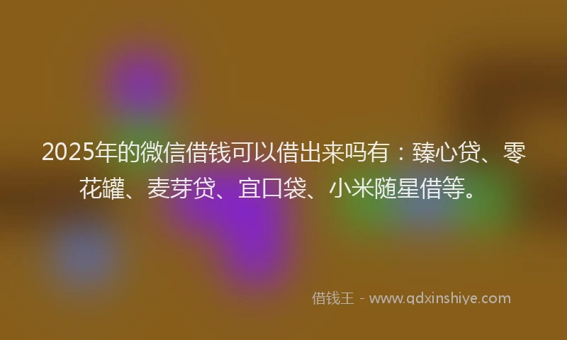 2025年的微信借钱可以借出来吗有：臻心贷、零花罐、麦芽贷、宜口袋、小米随星借等。
