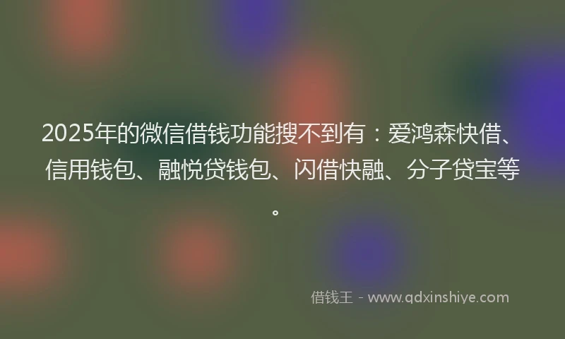 2025年的微信借钱功能搜不到有：爱鸿森快借、信用钱包、融悦贷钱包、闪借快融、分子贷宝等。