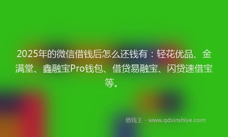 2025年的微信借钱后怎么还钱有：轻花优品、金满堂、鑫融宝Pro钱包、借贷易融宝、闪贷速借宝等。
