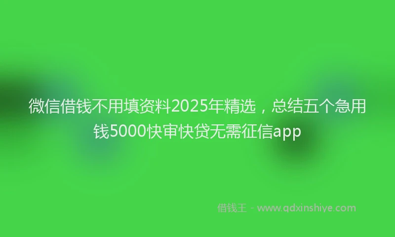 微信借钱不用填资料2025年精选，总结五个急用钱5000快审快贷无需征信app