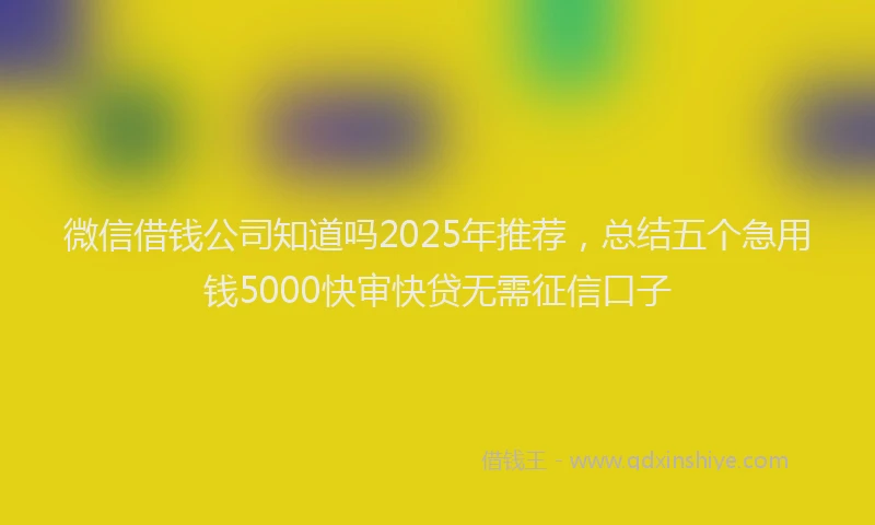 微信借钱公司知道吗2025年推荐，总结五个急用钱5000快审快贷无需征信口子