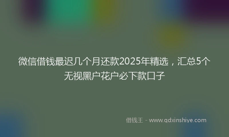 微信借钱最迟几个月还款2025年精选，汇总5个无视黑户花户必下款口子