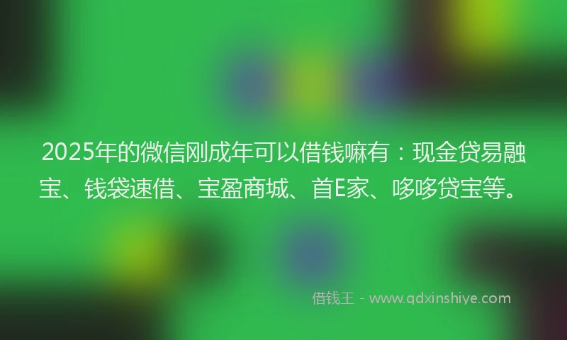 2025年的微信刚成年可以借钱嘛有:现金贷易融宝、钱袋速借、宝盈商城、首E家、哆哆贷宝等。