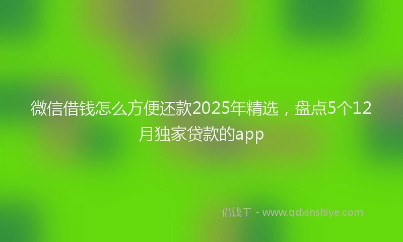 微信借钱怎么方便还款2025年精选，盘点5个12月独家贷款的app