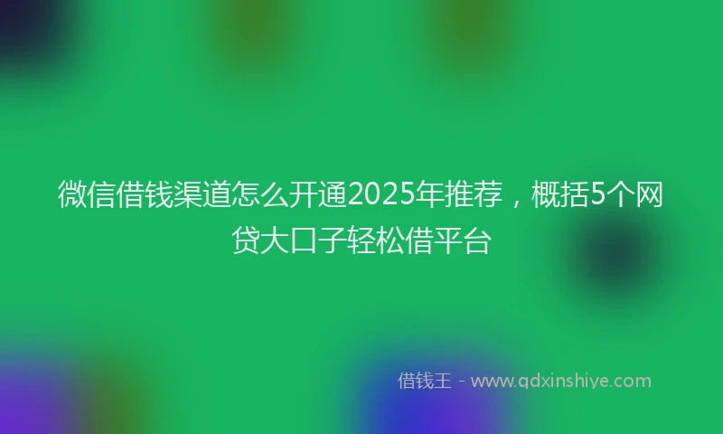 微信借钱渠道怎么开通2025年推荐，概括5个网贷大口子轻松借平台