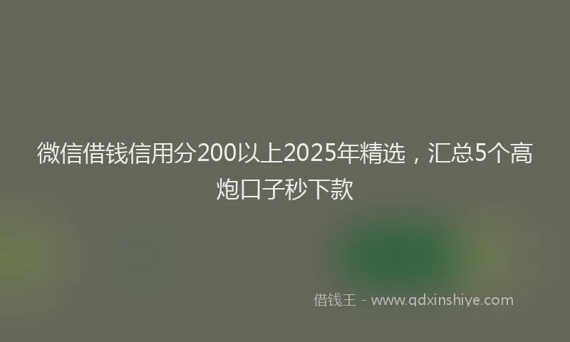 微信借钱信用分200以上2025年精选，汇总5个高炮口子秒下款