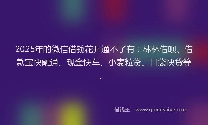 2025年的微信借钱花开通不了有：林林借呗、借款宝快融通、现金快车、小麦粒贷、口袋快贷等。