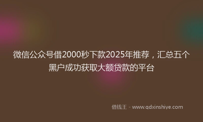 微信公众号借2000秒下款2025年推荐，汇总五个黑户成功获取大额贷款的平台