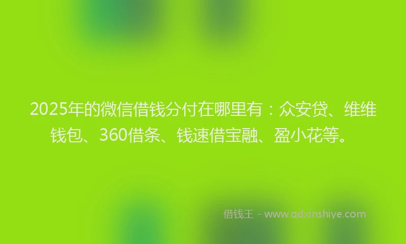 2025年的微信借钱分付在哪里有：众安贷、维维钱包、360借条、钱速借宝融、盈小花等。