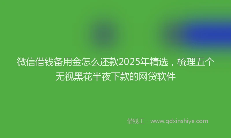 微信借钱备用金怎么还款2025年精选，梳理五个无视黑花半夜下款的网贷软件