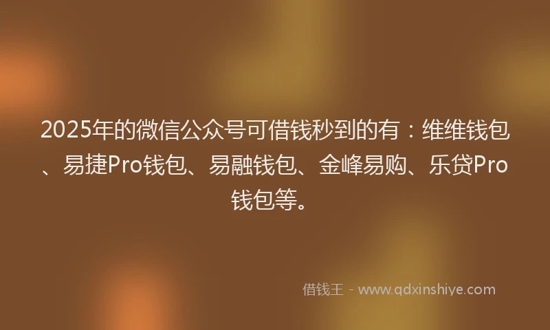 2025年的微信公众号可借钱秒到的有：维维钱包、易捷Pro钱包、易融钱包、金峰易购、乐贷Pro钱包等。