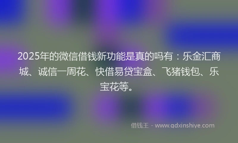 2025年的微信借钱新功能是真的吗有：乐金汇商城、诚信一周花、快借易贷宝盒、飞猪钱包、乐宝花等。