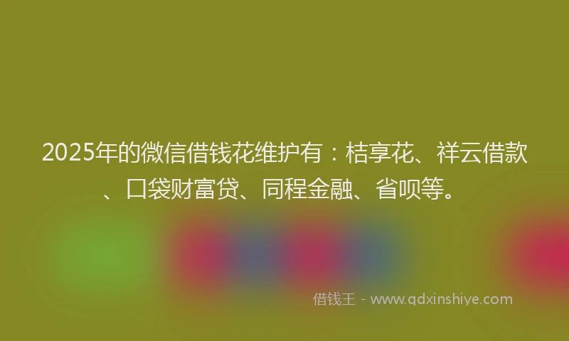 2025年的微信借钱花维护有：桔享花、祥云借款、口袋财富贷、同程金融、省呗等。