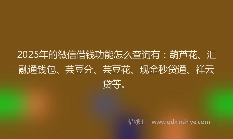 2025年的微信借钱功能怎么查询有：葫芦花、汇融通钱包、芸豆分、芸豆花、现金秒贷通、祥云贷等。
