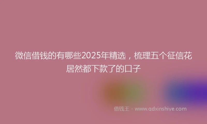 微信借钱的有哪些2025年精选，梳理五个征信花居然都下款了的口子