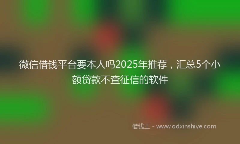 微信借钱平台要本人吗2025年推荐，汇总5个小额贷款不查征信的软件