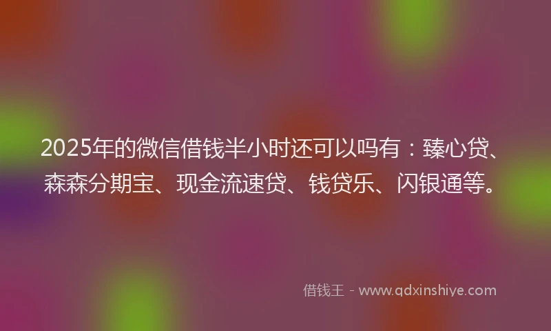 2025年的微信借钱半小时还可以吗有：臻心贷、森森分期宝、现金流速贷、钱贷乐、闪银通等。