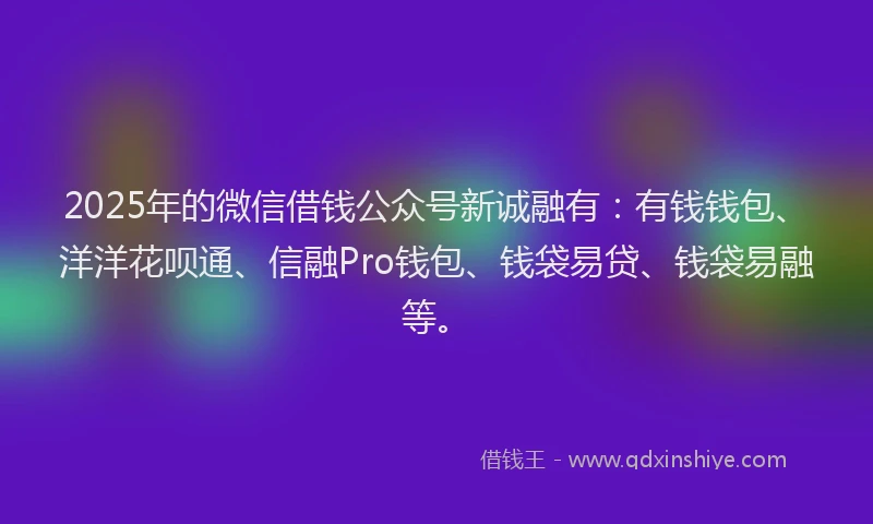 2025年的微信借钱公众号新诚融有：有钱钱包、洋洋花呗通、信融Pro钱包、钱袋易贷、钱袋易融等。