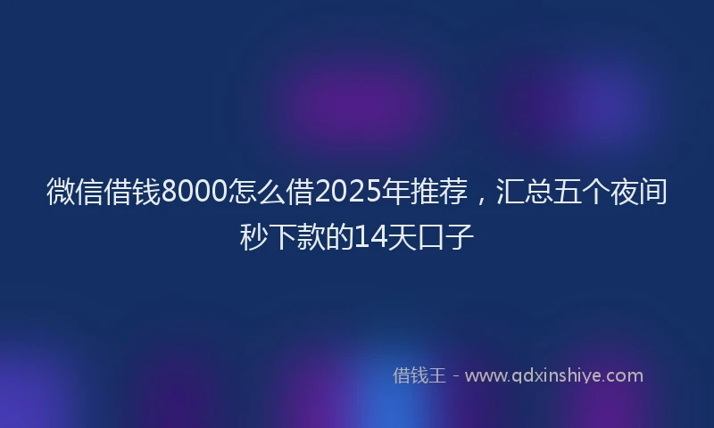 微信借钱8000怎么借2025年推荐，汇总五个夜间秒下款的14天口子