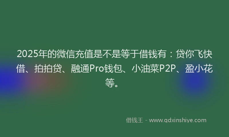 2025年的微信充值是不是等于借钱有：贷你飞快借、拍拍贷、融通Pro钱包、小油菜P2P、盈小花等。