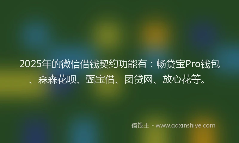 2025年的微信借钱契约功能有：畅贷宝Pro钱包、森森花呗、甄宝借、团贷网、放心花等。