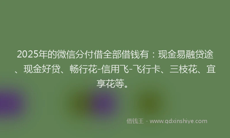 2025年的微信分付借全部借钱有：现金易融贷途、现金好贷、畅行花-信用飞-飞行卡、三枝花、宜享花等。