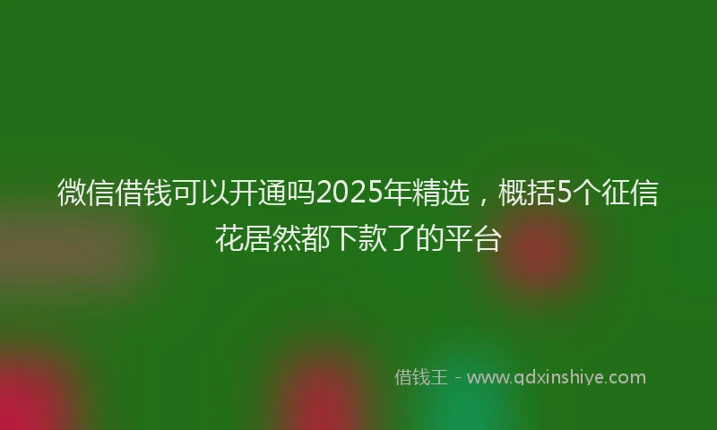 微信借钱可以开通吗2025年精选，概括5个征信花居然都下款了的平台