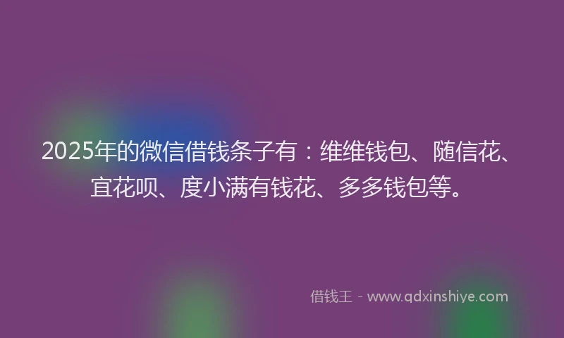 2025年的微信借钱条子有：维维钱包、随信花、宜花呗、度小满有钱花、多多钱包等。