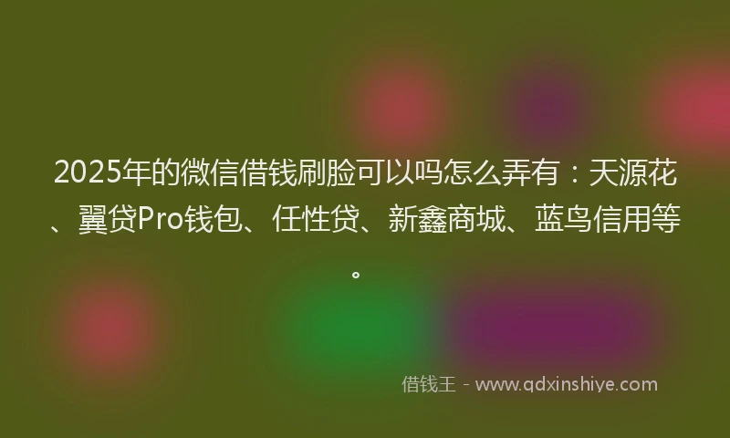 2025年的微信借钱刷脸可以吗怎么弄有：天源花、翼贷Pro钱包、任性贷、新鑫商城、蓝鸟信用等。
