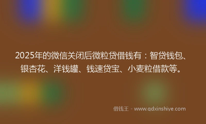 2025年的微信关闭后微粒贷借钱有：智贷钱包、银杏花、洋钱罐、钱速贷宝、小麦粒借款等。