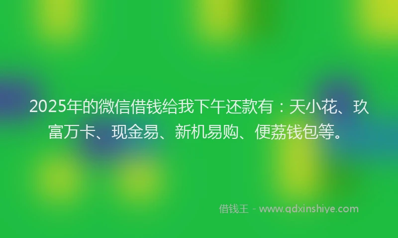 2025年的微信借钱给我下午还款有：天小花、玖富万卡、现金易、新机易购、便荔钱包等。