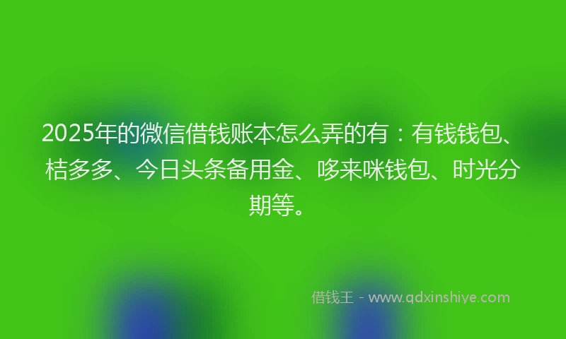2025年的微信借钱账本怎么弄的有：有钱钱包、桔多多、今日头条备用金、哆来咪钱包、时光分期等。