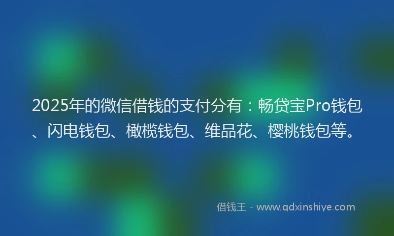 2025年的微信借钱的支付分有：畅贷宝Pro钱包、闪电钱包、橄榄钱包、维品花、樱桃钱包等。