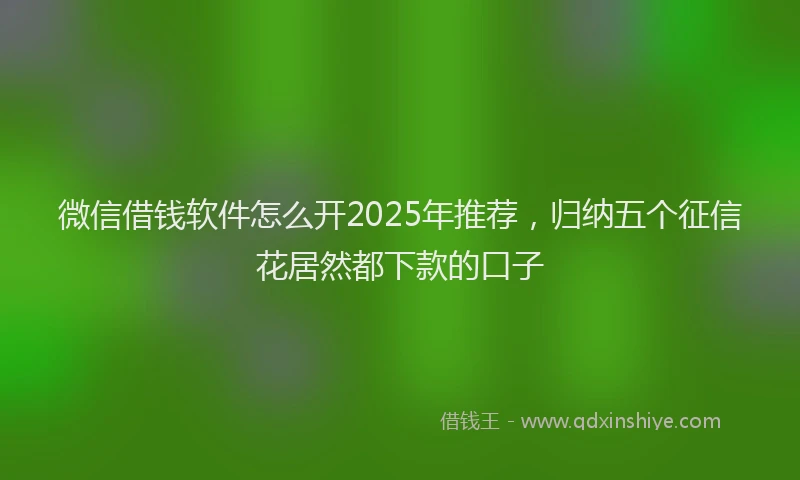 微信借钱软件怎么开2025年推荐，归纳五个征信花居然都下款的口子