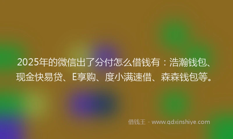 2025年的微信出了分付怎么借钱有：浩瀚钱包、现金快易贷、E享购、度小满速借、森森钱包等。