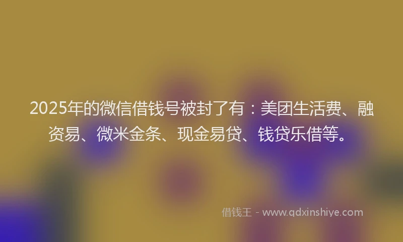2025年的微信借钱号被封了有：美团生活费、融资易、微米金条、现金易贷、钱贷乐借等。