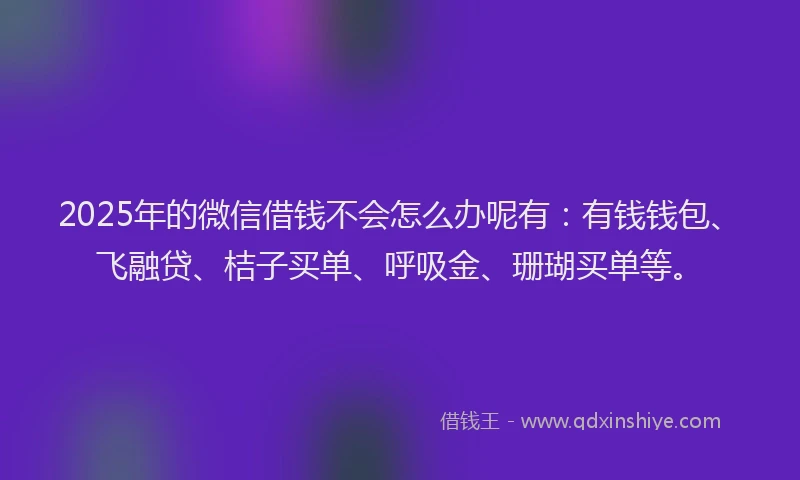 2025年的微信借钱不会怎么办呢有：有钱钱包、飞融贷、桔子买单、呼吸金、珊瑚买单等。