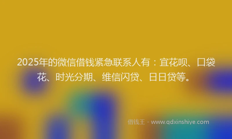 2025年的微信借钱紧急联系人有：宜花呗、口袋花、时光分期、维信闪贷、日日贷等。