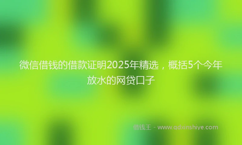 微信借钱的借款证明2025年精选，概括5个今年放水的网贷口子