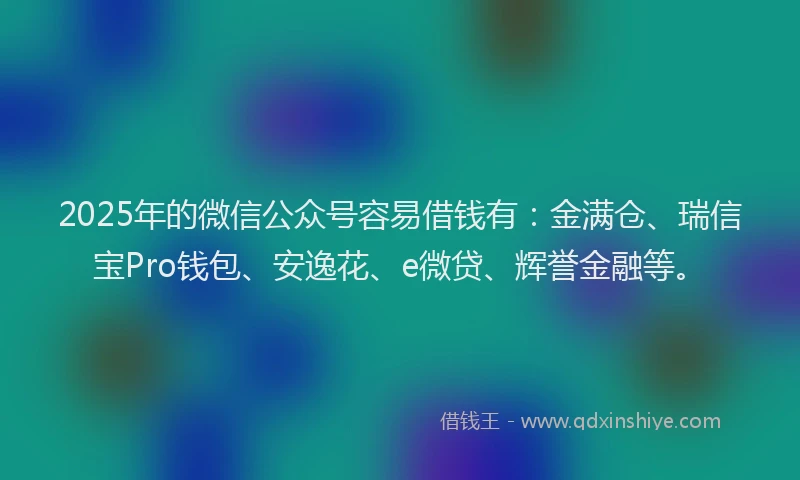 2025年的微信公众号容易借钱有：金满仓、瑞信宝Pro钱包、安逸花、e微贷、辉誉金融等。