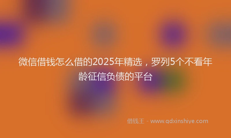 微信借钱怎么借的2025年精选，罗列5个不看年龄征信负债的平台