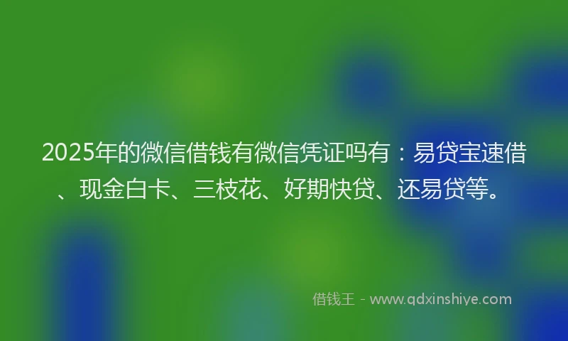 2025年的微信借钱有微信凭证吗有：易贷宝速借、现金白卡、三枝花、好期快贷、还易贷等。