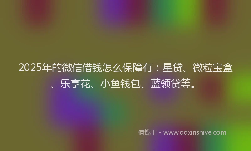 2025年的微信借钱怎么保障有：星贷、微粒宝盒、乐享花、小鱼钱包、蓝领贷等。