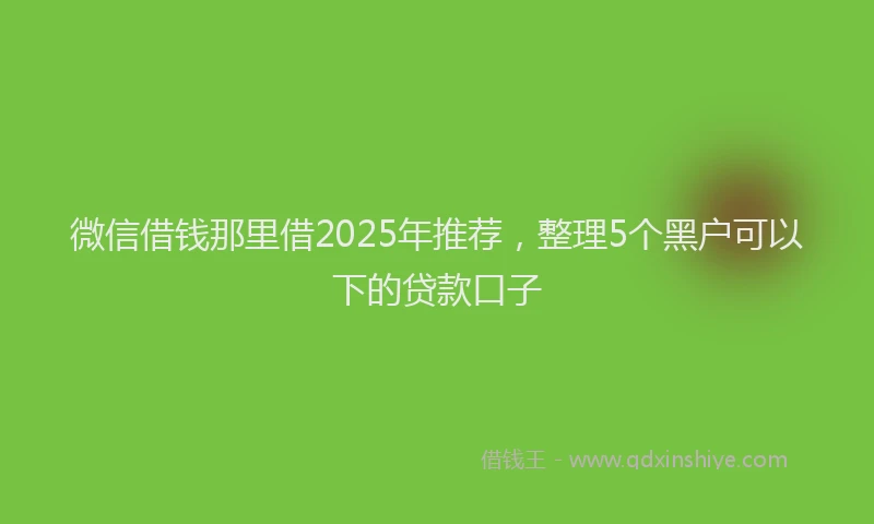 微信借钱那里借2025年推荐，整理5个黑户可以下的贷款口子