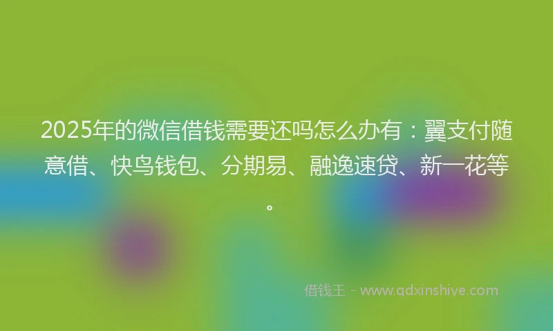 2025年的微信借钱需要还吗怎么办有：翼支付随意借、快鸟钱包、分期易、融逸速贷、新一花等。