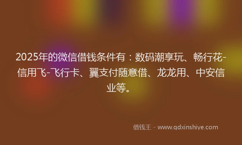 2025年的微信借钱条件有：数码潮享玩、畅行花-信用飞-飞行卡、翼支付随意借、龙龙用、中安信业等。